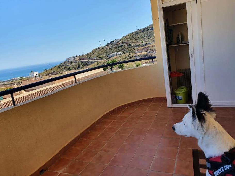 Apartamento 2 Habitaciones En Benalmadena Exterior photo